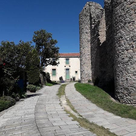 Maison De Vacances Chateaumur Buitenkant foto